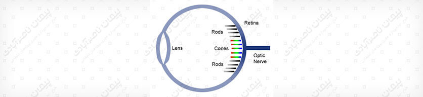 رنگ آبی در پشت شبکیه چشم ظاهر می شود 