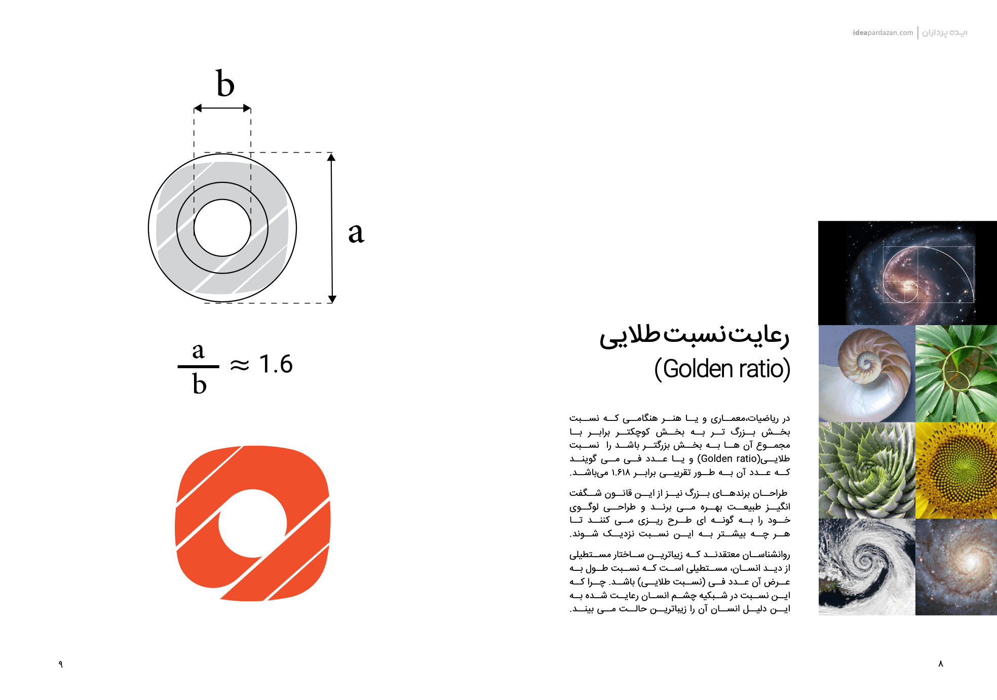 نسبت طلایی در طراحی لوگو معراج تجارت