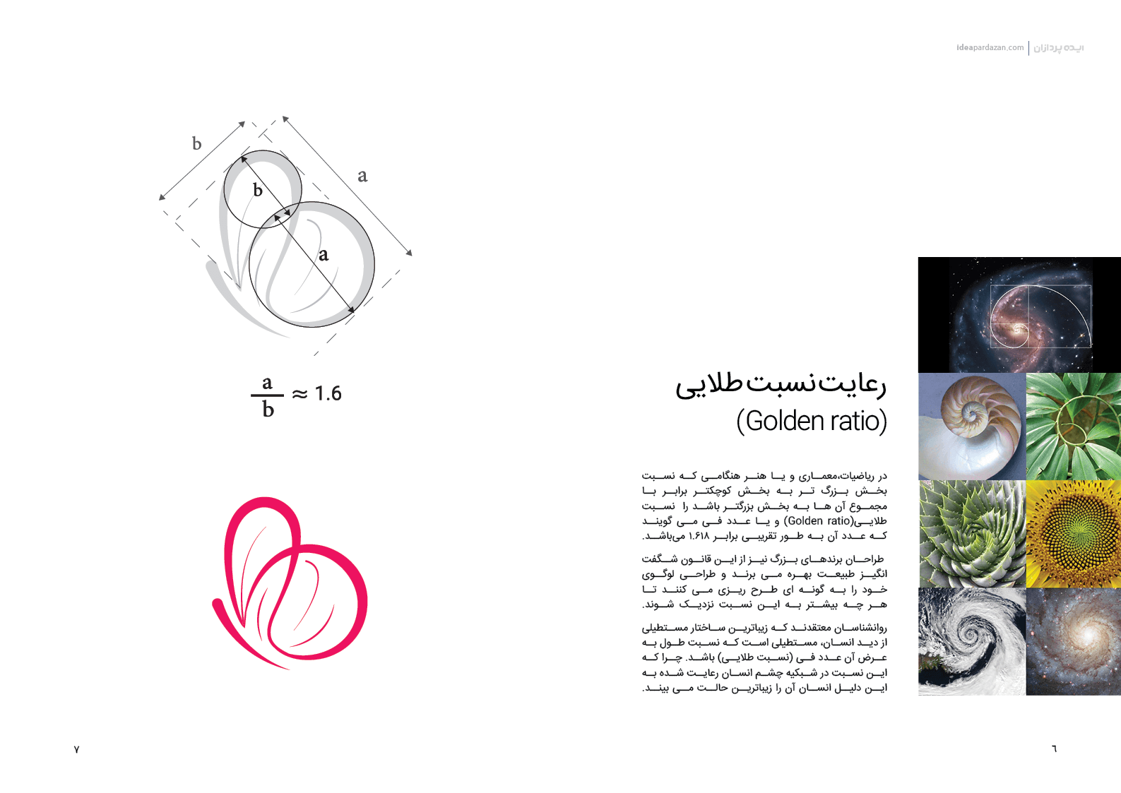 نسبت طلایی در طراحی لوگو برند هیتس تکنیک